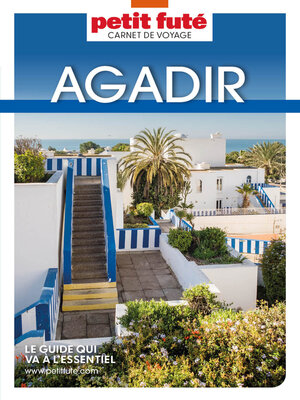 cover image of Agadir 2023 Carnet Petit Futé